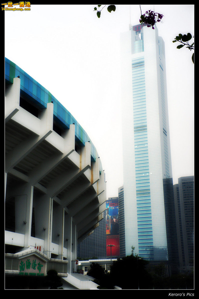 DSC00411.jpg