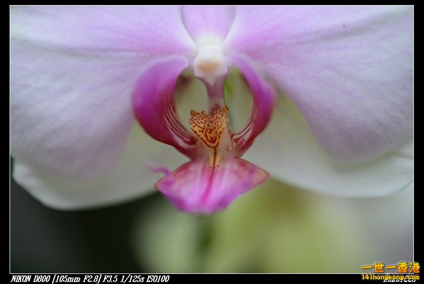 nEO_IMG_DSC_0997.jpg