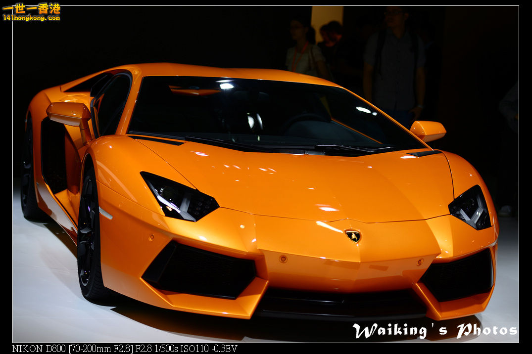 DSC_7893.jpg