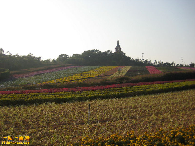 IMG_1938_调整大小.JPG