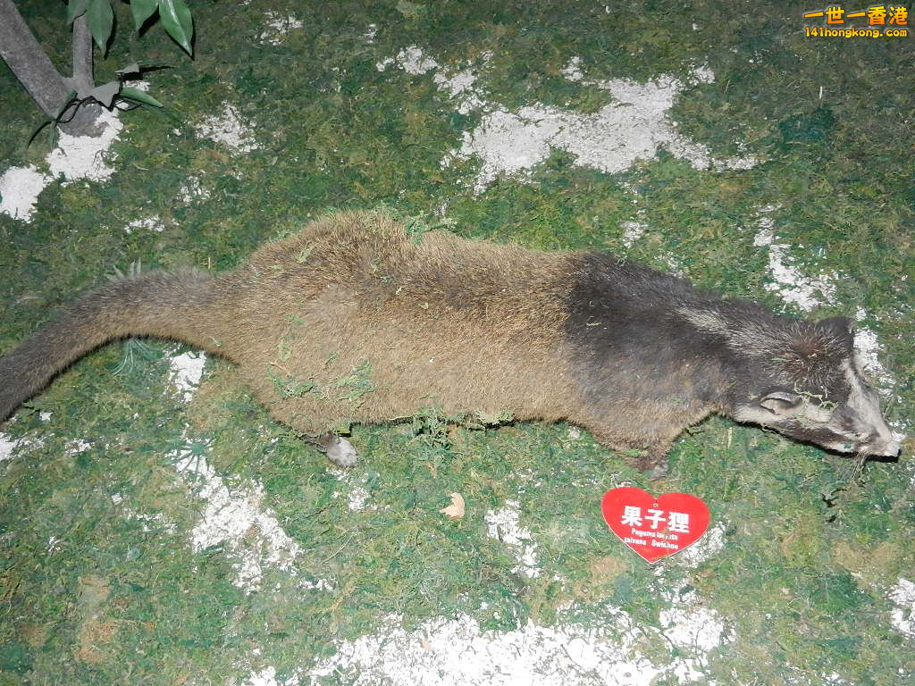 DSCN5911.JPG