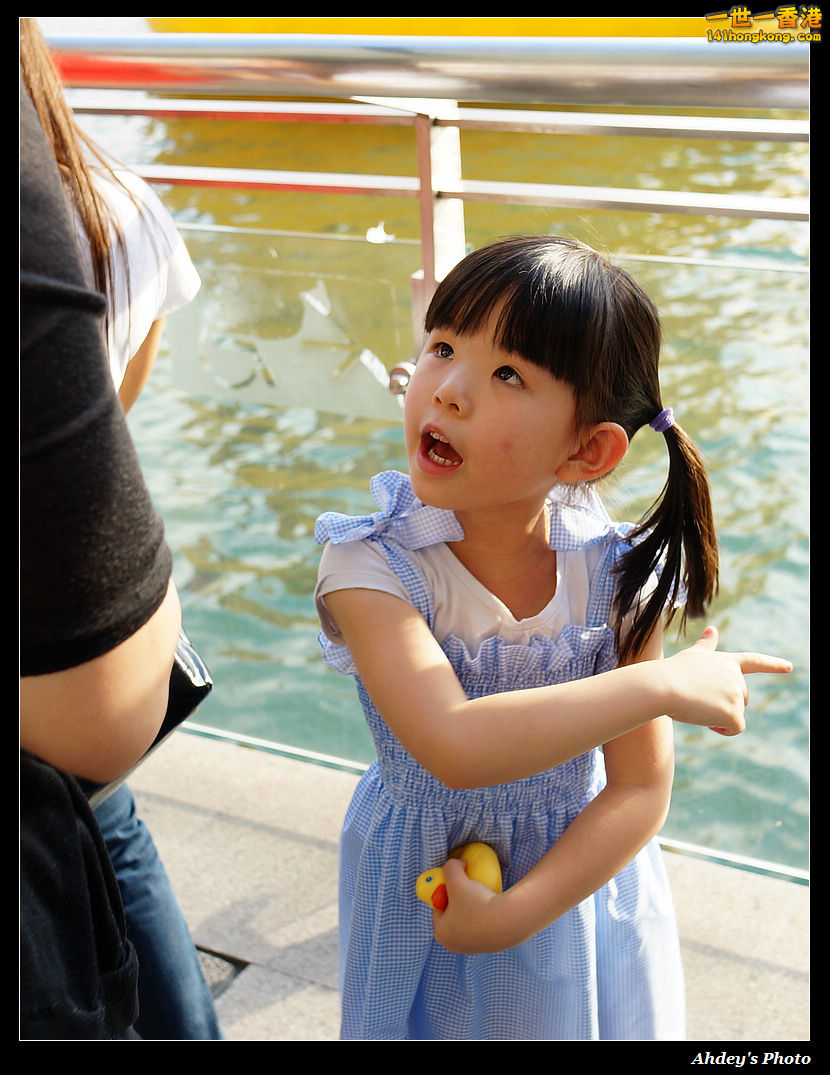 DSC08135.jpg