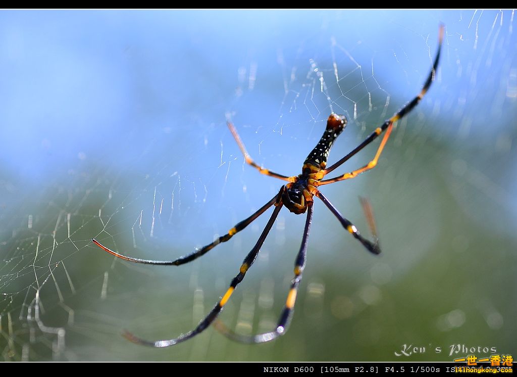 DSC_5067.jpg