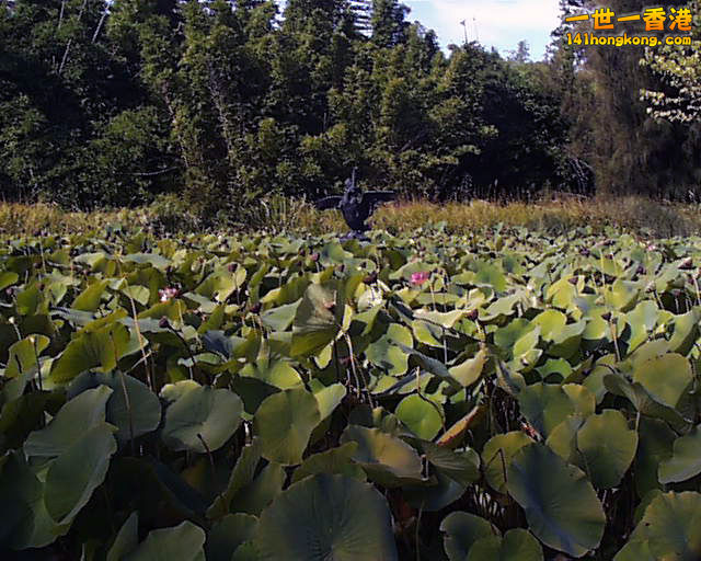 PIC00126.jpg
