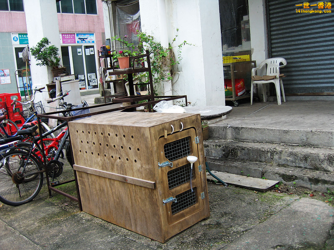 nEO_IMG_IMG_0172.jpg