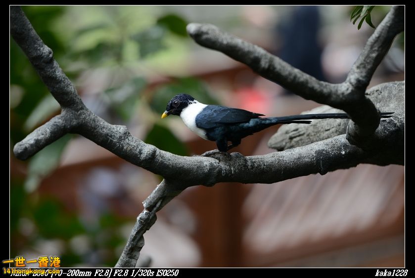 nEO_IMG_DSC_1106.jpg