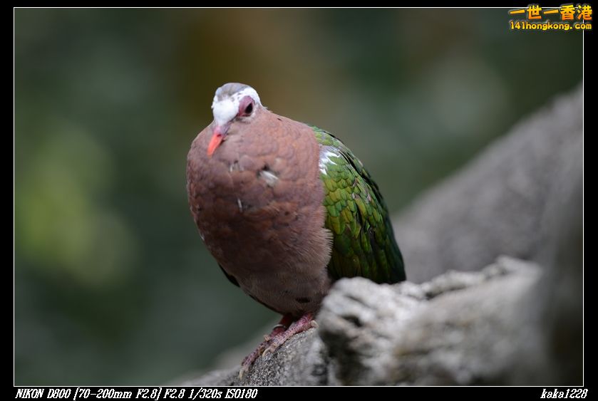 nEO_IMG_DSC_1180.jpg