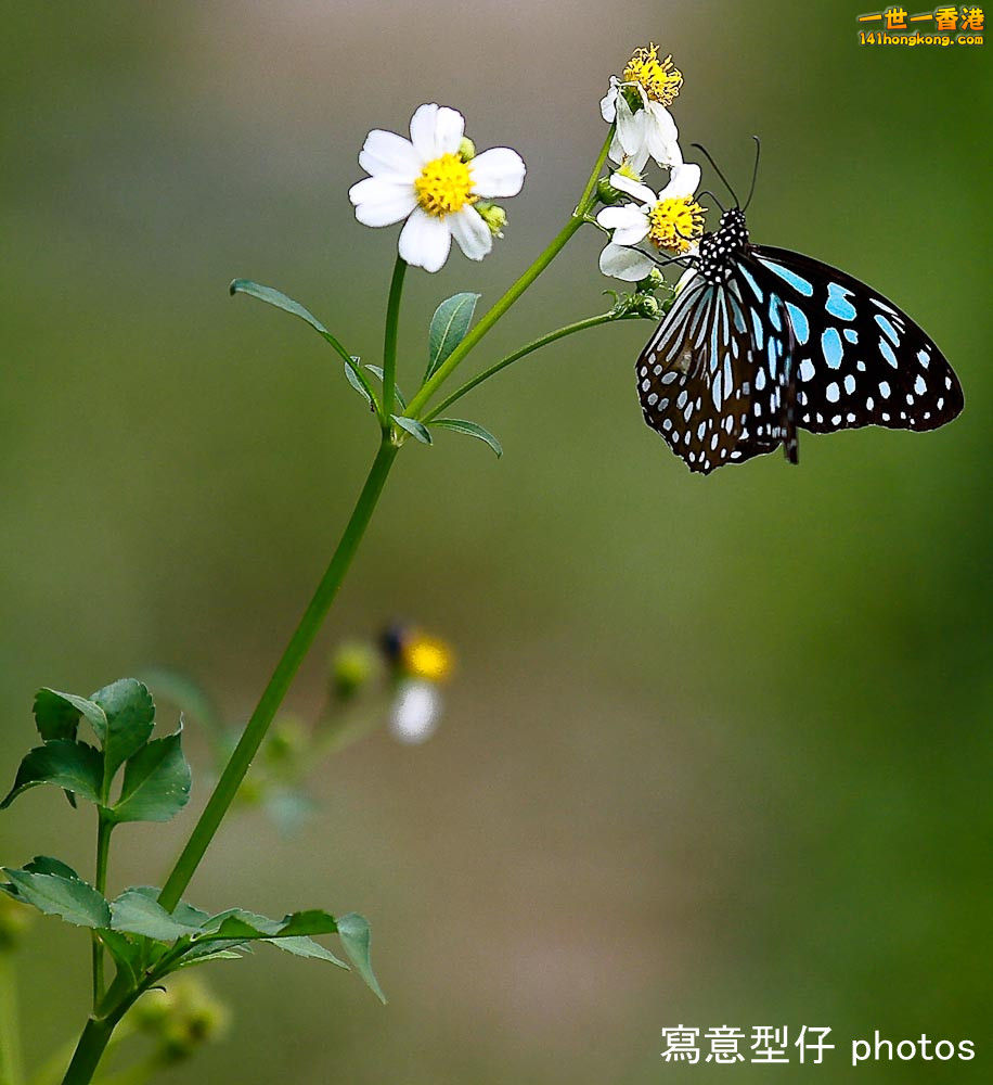 IMG_6450_副本.jpg