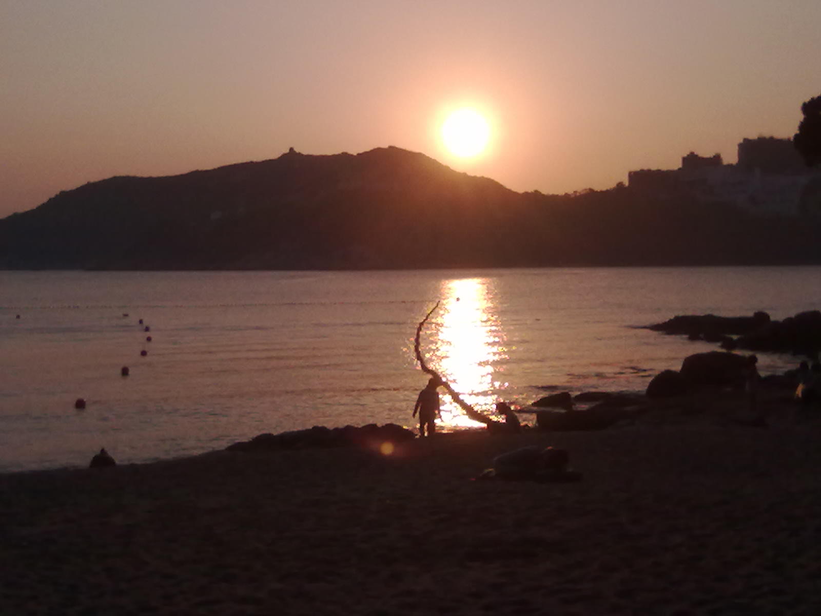 20100316217.jpg