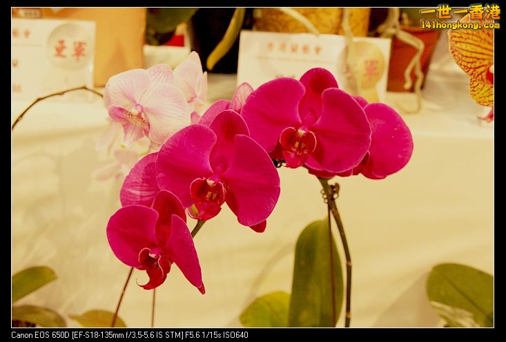 0620PO_2872.jpg