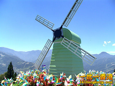 12499_2.jpg