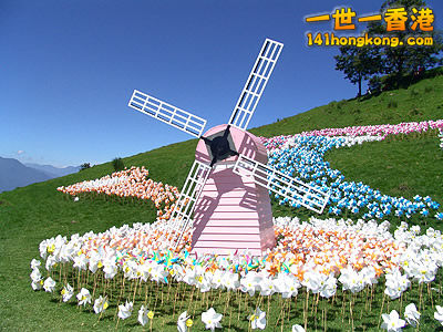 12499_3.jpg