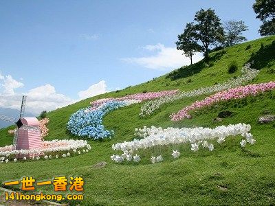 IMAGE.jpg