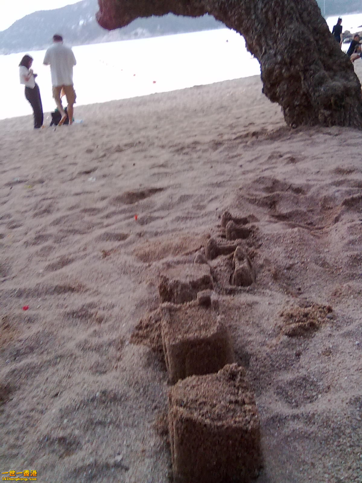 20100316243.jpg