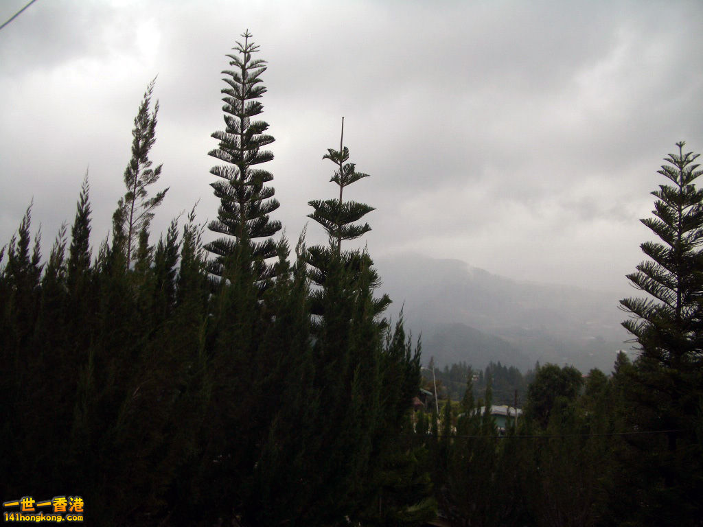 IMGP1311.JPG