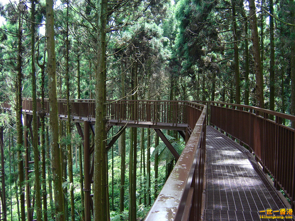 K06.jpg