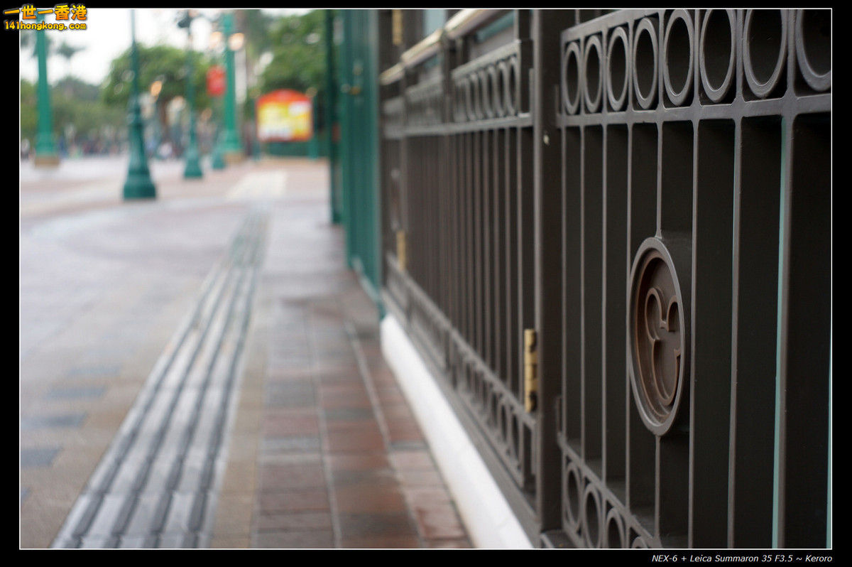 DSC06351C.jpg