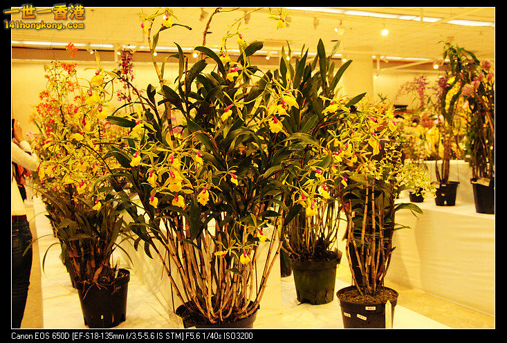 0625PO_3173.jpg