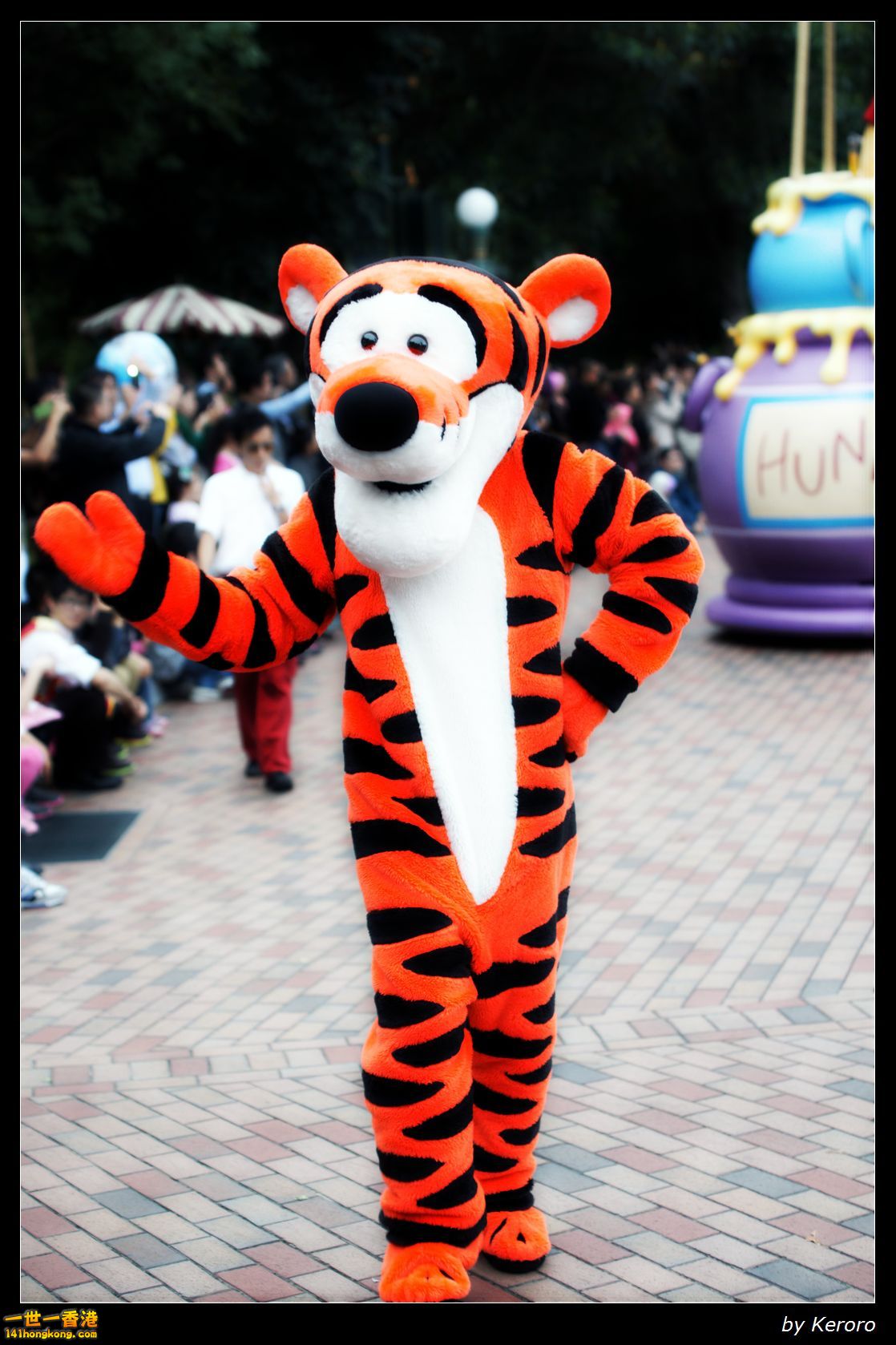 DSC02336.jpg