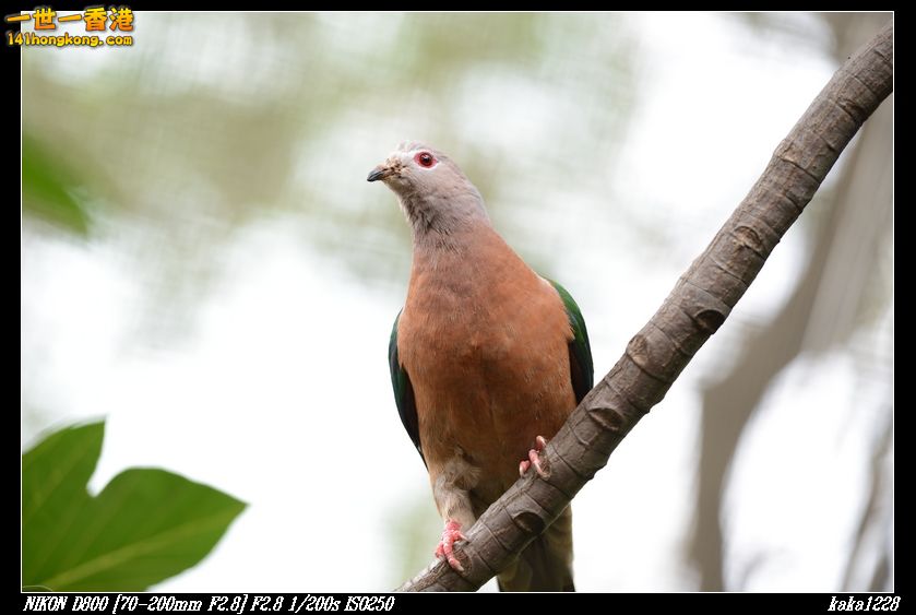 nEO_IMG_DSC_1141.jpg