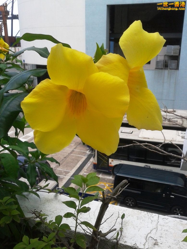 20130627_125125.jpg