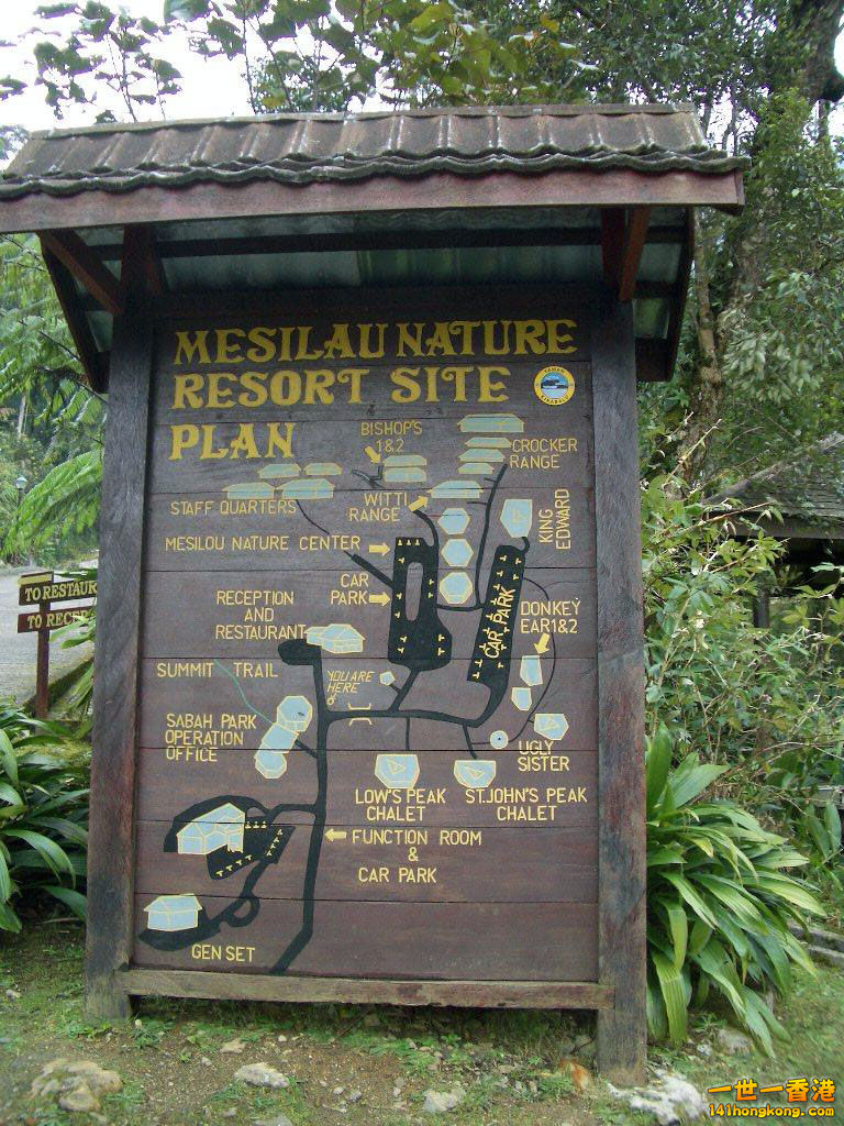 IMGP1356.JPG