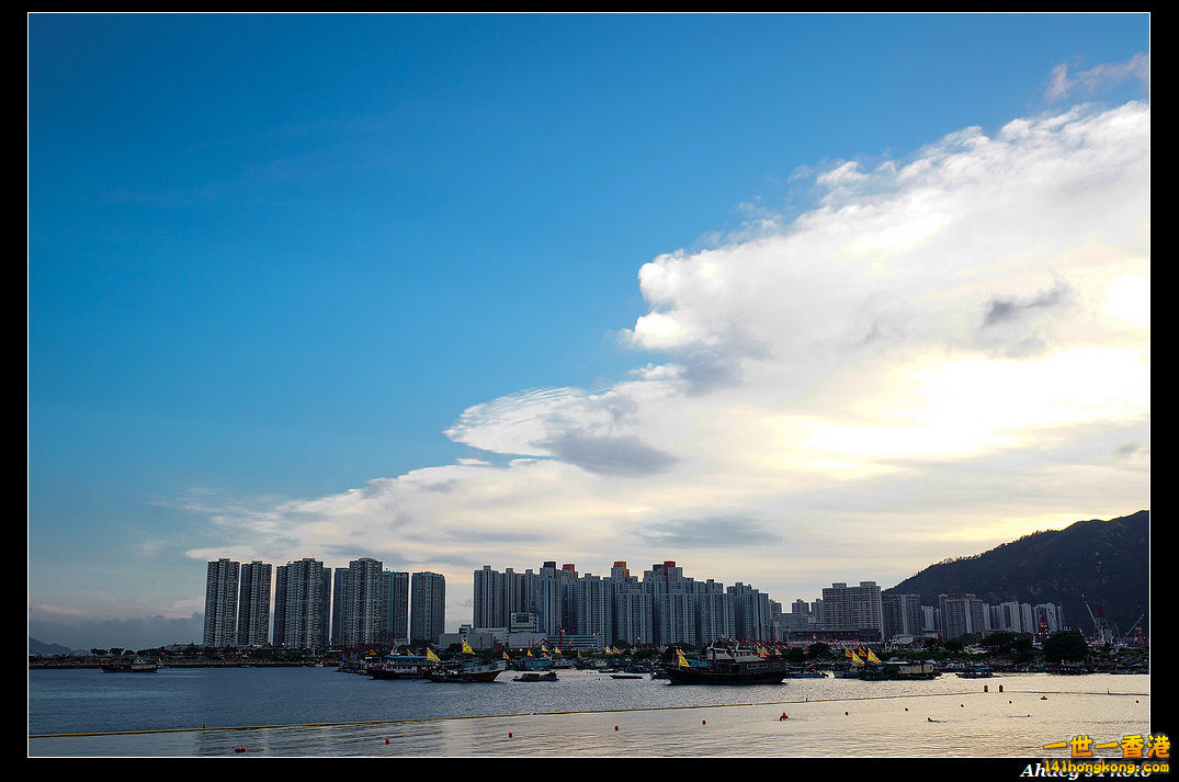 DSC08806.jpg