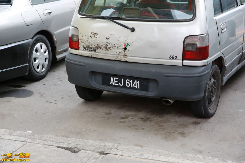 3P1A5273.JPG