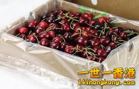 cherry 5.jpg