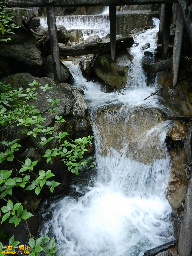 複製 -DSCN5939.JPG