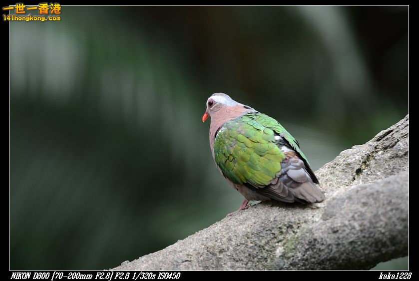 nEO_IMG_DSC_1157.jpg