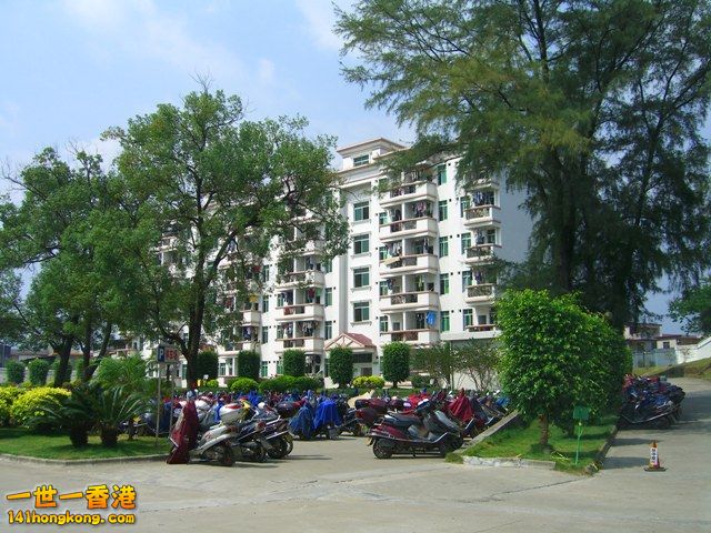 photo.jpg