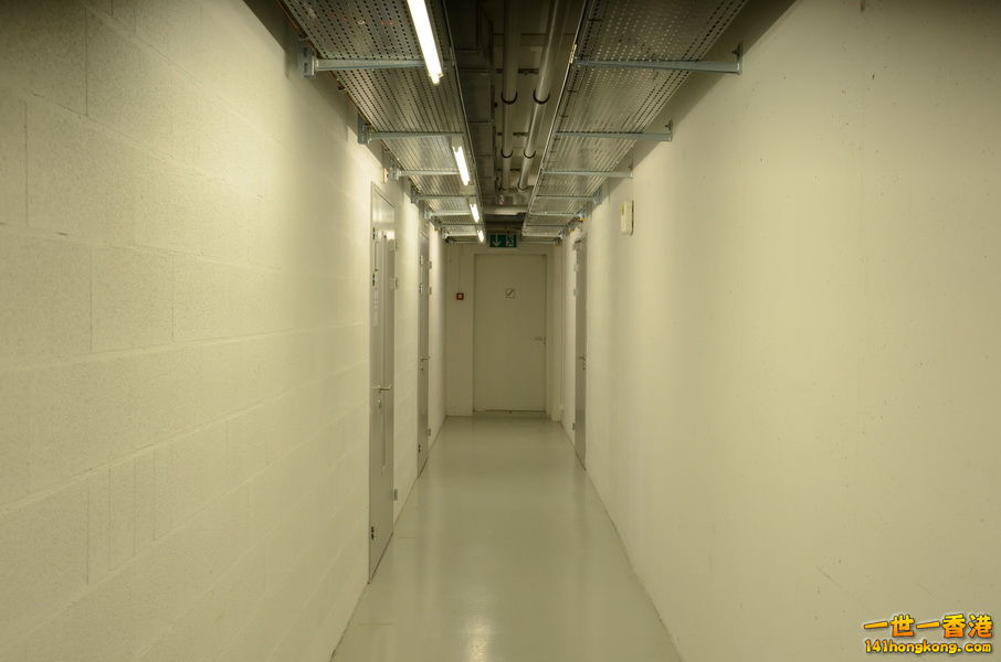 0000817484.jpg