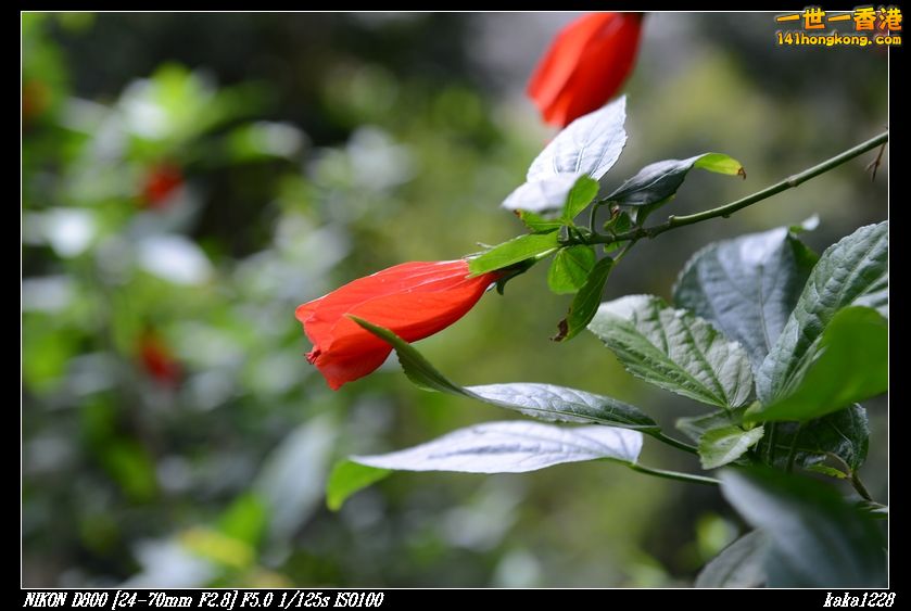 nEO_IMG_DSC_0957.jpg