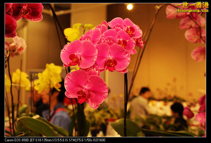 0703PO_2904.jpg