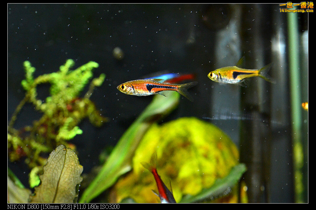 DSC_3457.jpg