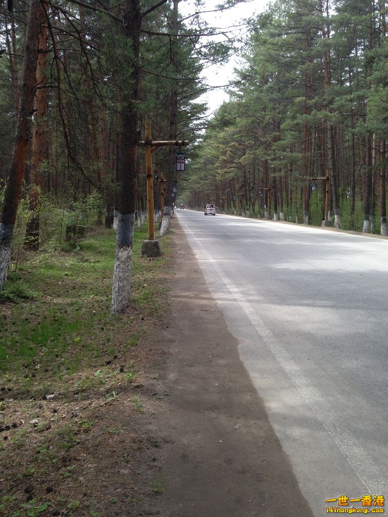 203.JPG