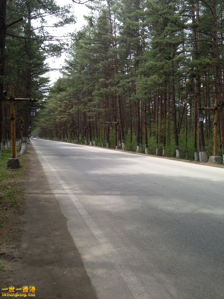 204.JPG