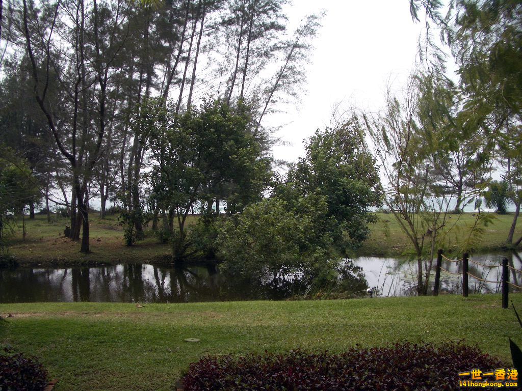 IMGP1410.JPG