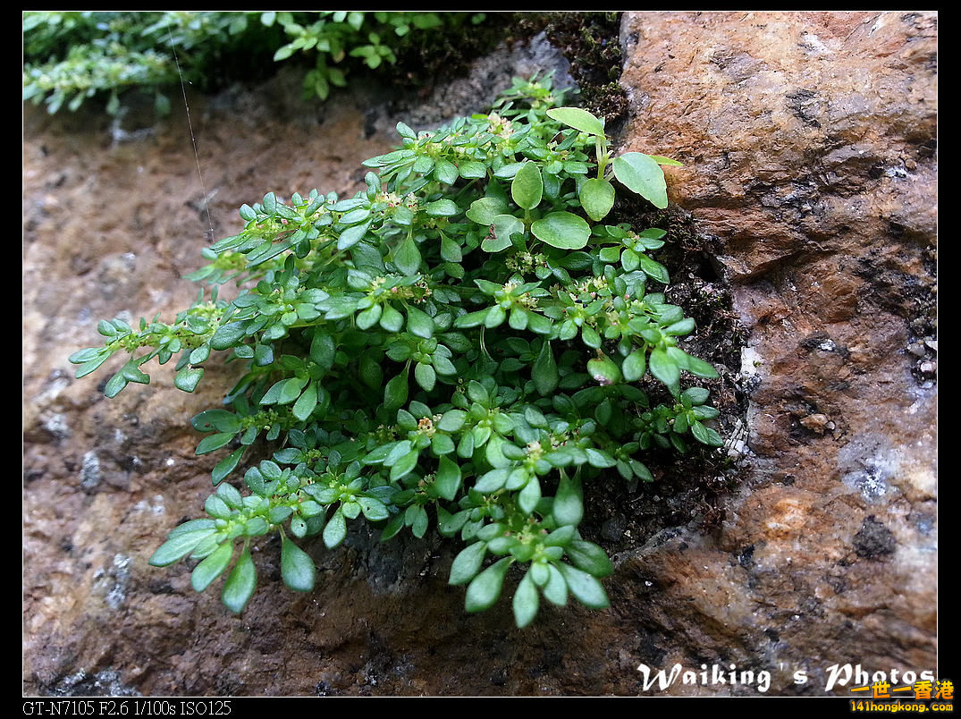 20130705_104619.jpg