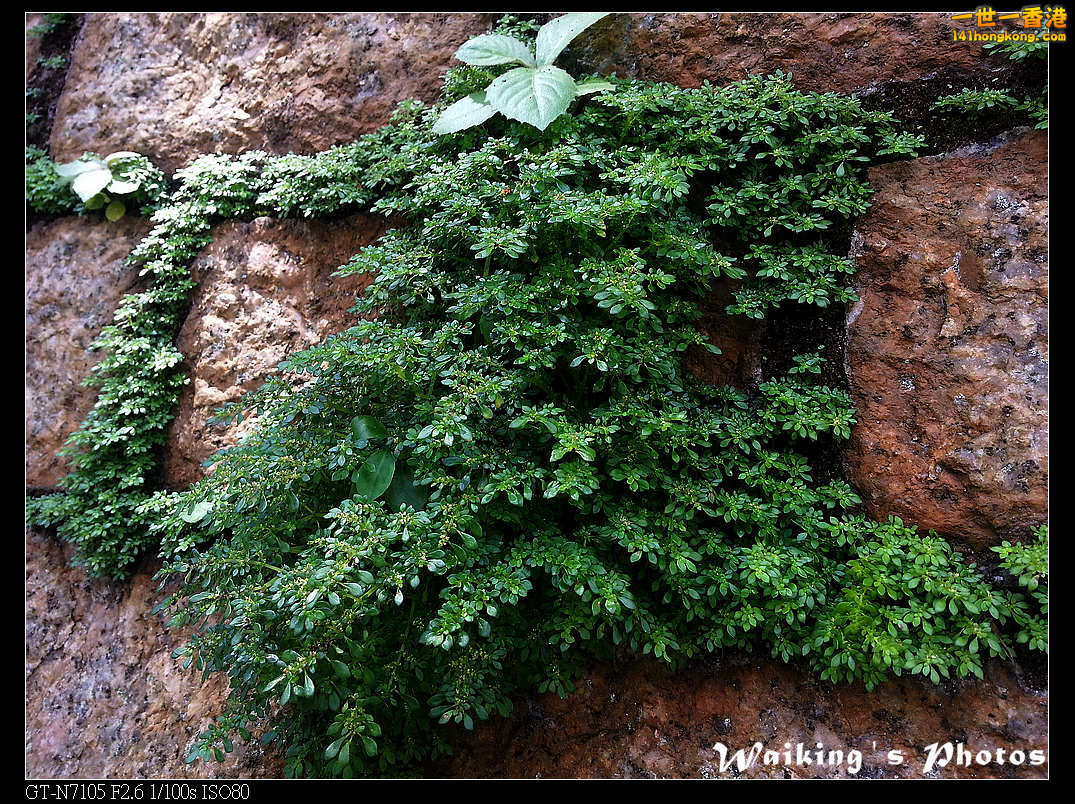 20130705_105058.jpg