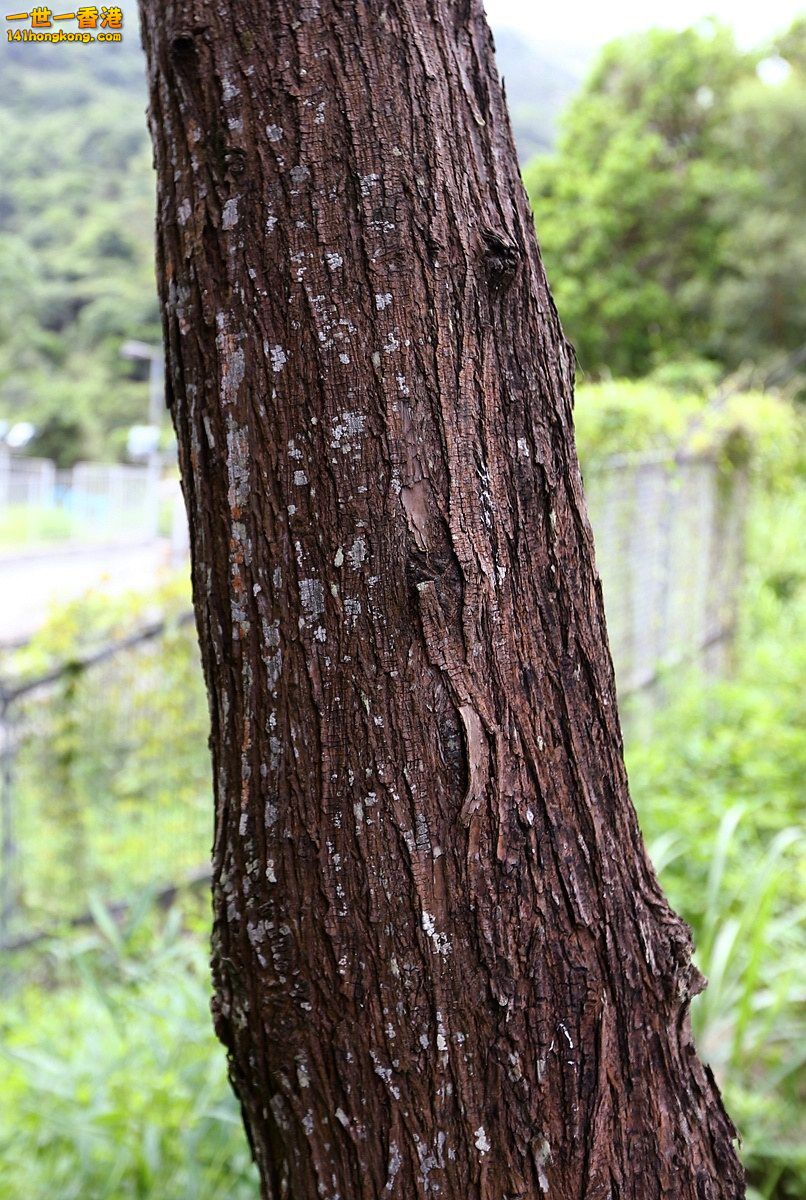 CW8U0905.JPG