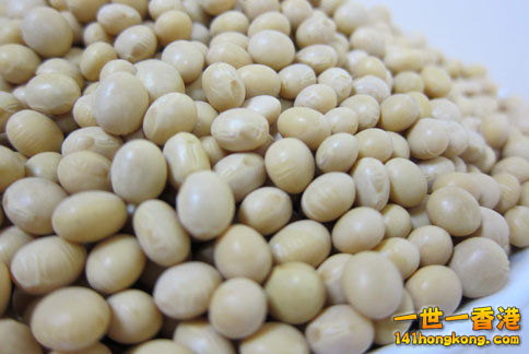 台灣充斥著基因改造黃豆，國人必須知道如何才能吃得安心