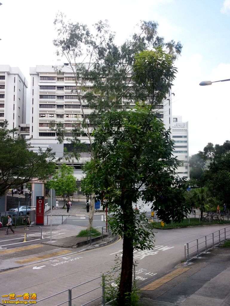 0711PO_093415.jpg