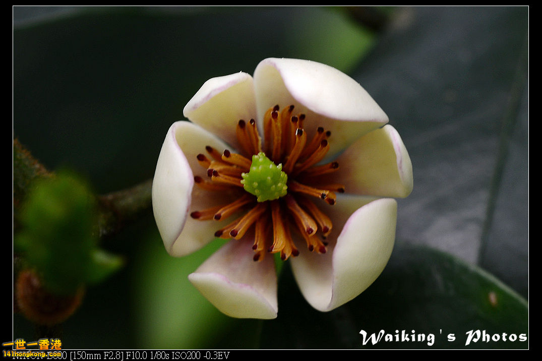 DSC_3900.jpg