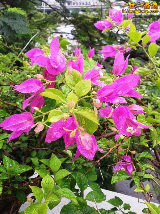 20130716_124902.jpg