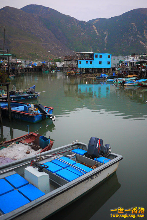 P1010750.jpg