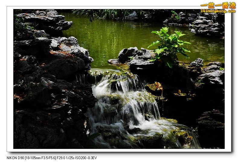 nEO_IMG_DSC_7996.jpg