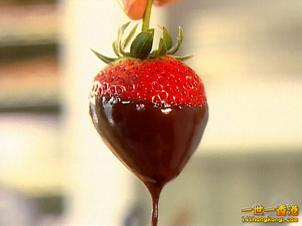 ig1a10_chocolate_strawberries_lg.jpg