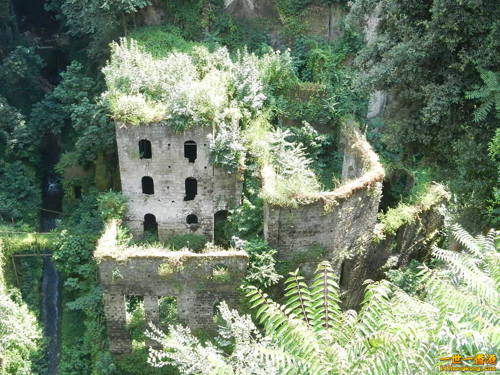 DSCN6564.JPG